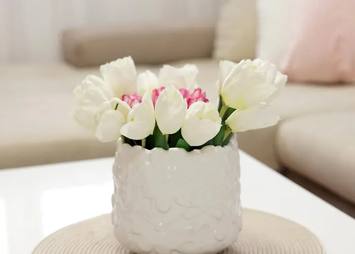 Apartman Babic Lux Vrnjacka Banja